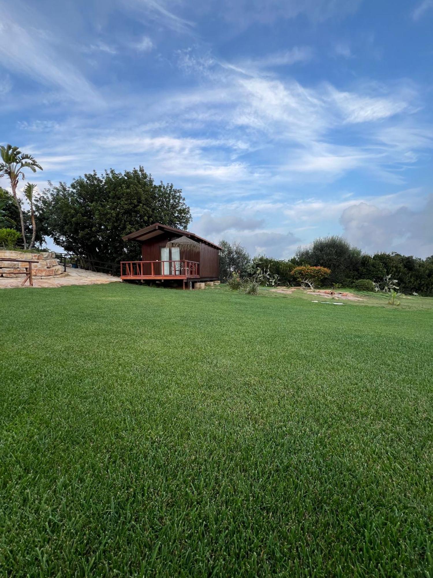 Quinta Saleiro Guesthouse 奥良 外观 照片
